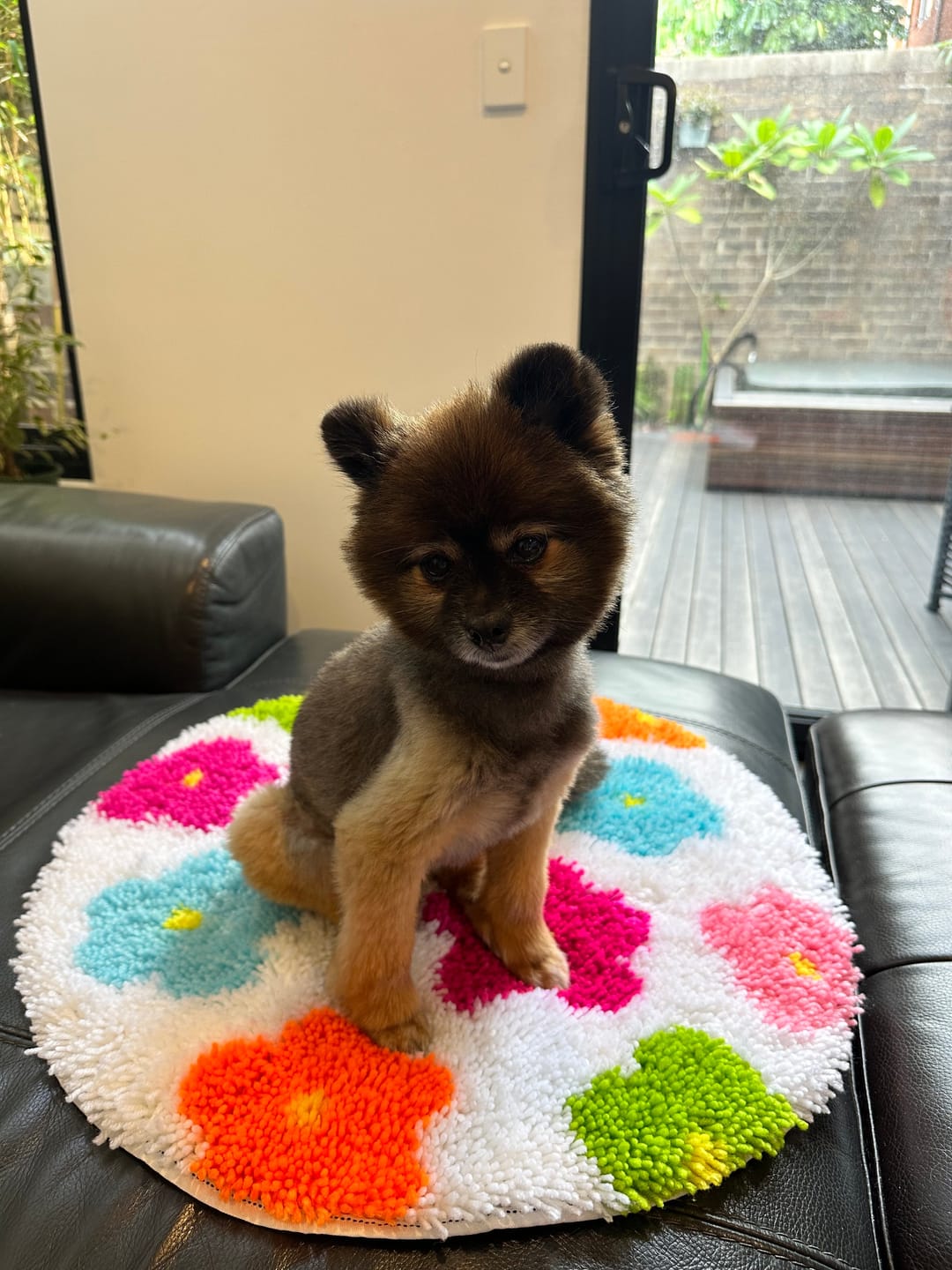 Customer photo review of PSYCHEDELIA Rug Making Kit