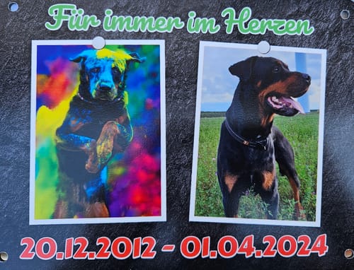Customer photo review of Hunde-Türschild mit Foto & Wunschtext (UV- UND WETTERFEST) - Angebot beim Kauf eines 2. Schildes
