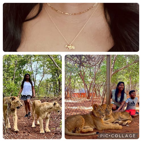 Customer photo review of Lioness Necklace