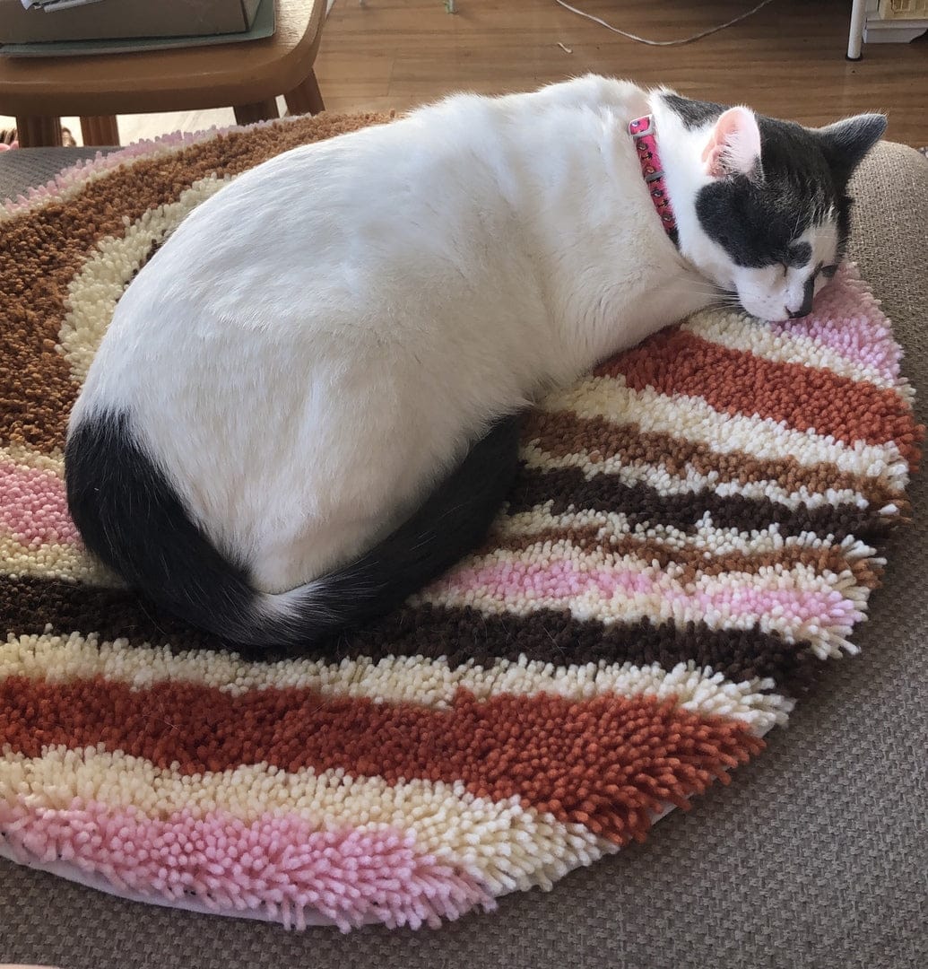 Customer photo review of CHECK ME OUT Rug Making Kit