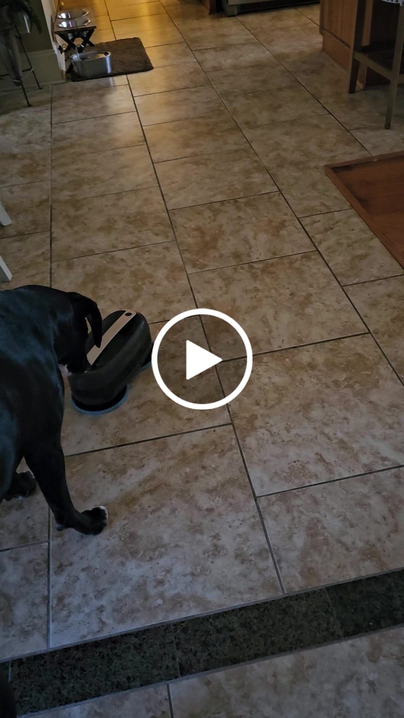 Customer video review of Everybot Edge Mopping Robot