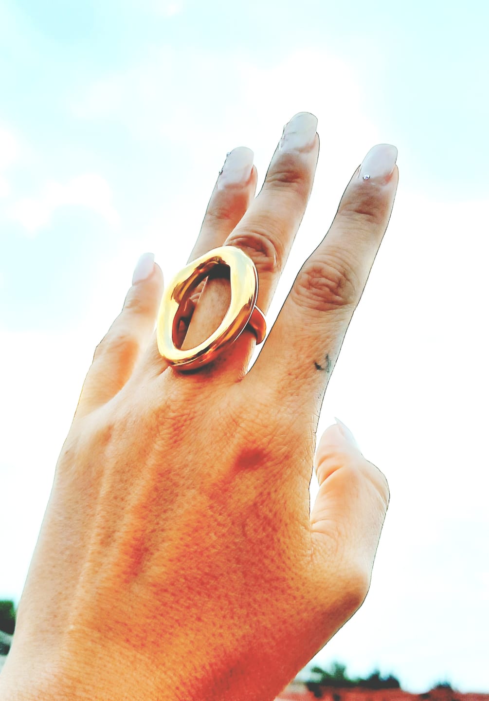 Customer photo review of Anillo Rust