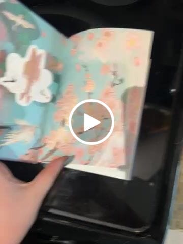 Customer video review of Tales of Japan Hardcover Notebook