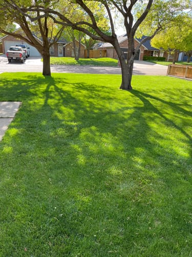 Customer photo review of Protene Performance Summer Fertilizer