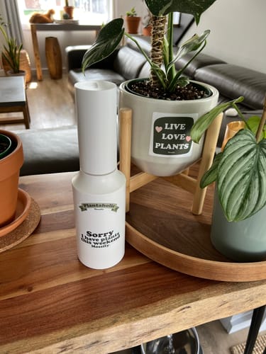 Customer photo of The Original Mossify mistr™ from Johanne D.
