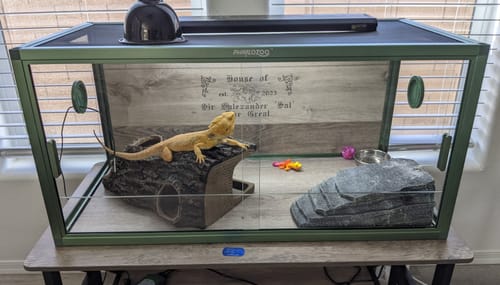 Customer photo review of REPMAC-Reptile Habitats 50 Gallon 36x18x18_Earthy Green