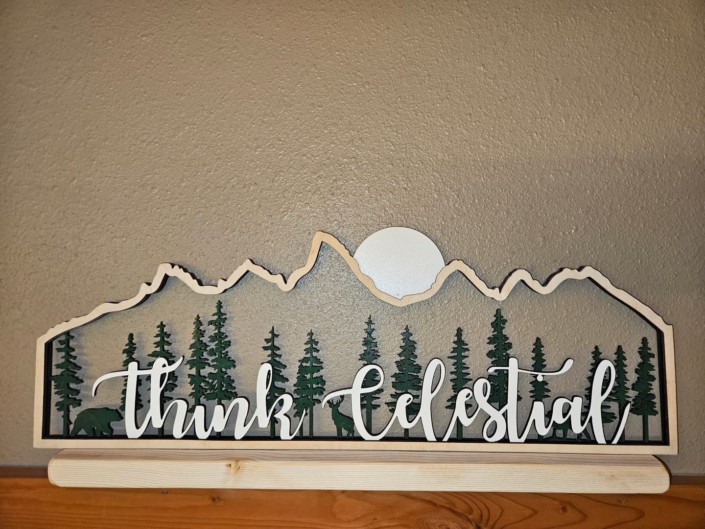 Customer photo review of Think Celestial Teton Mountains
