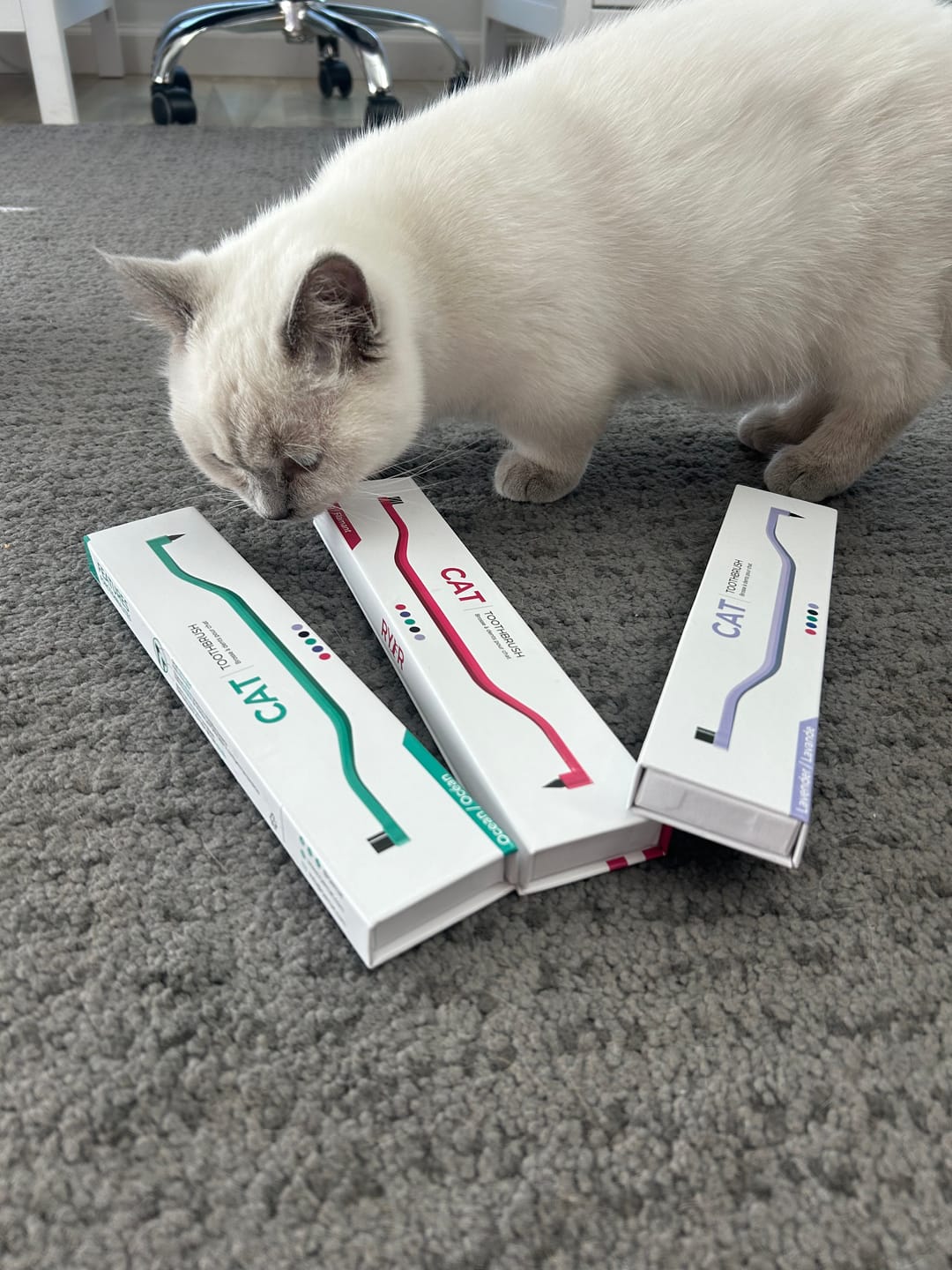 Customer photo review of RYERCAT Dual Sided Cat Toothbrush