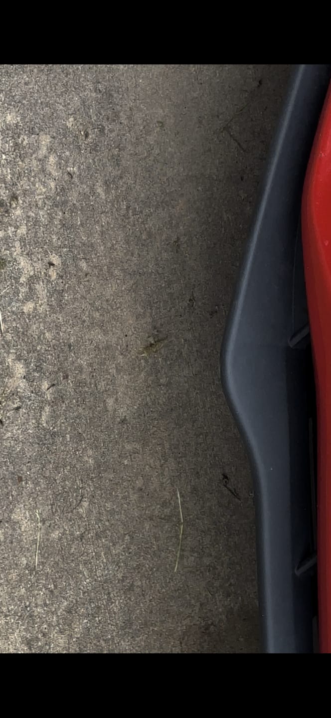Customer photo review of Ceramic & Graphene Trim Restoration Kit