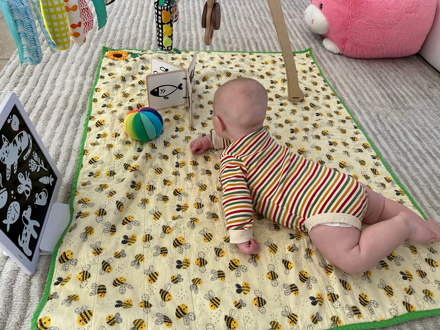 Customer photo review of Weather For Ducks Organic Baby Bodysuit Set - 2 Pack