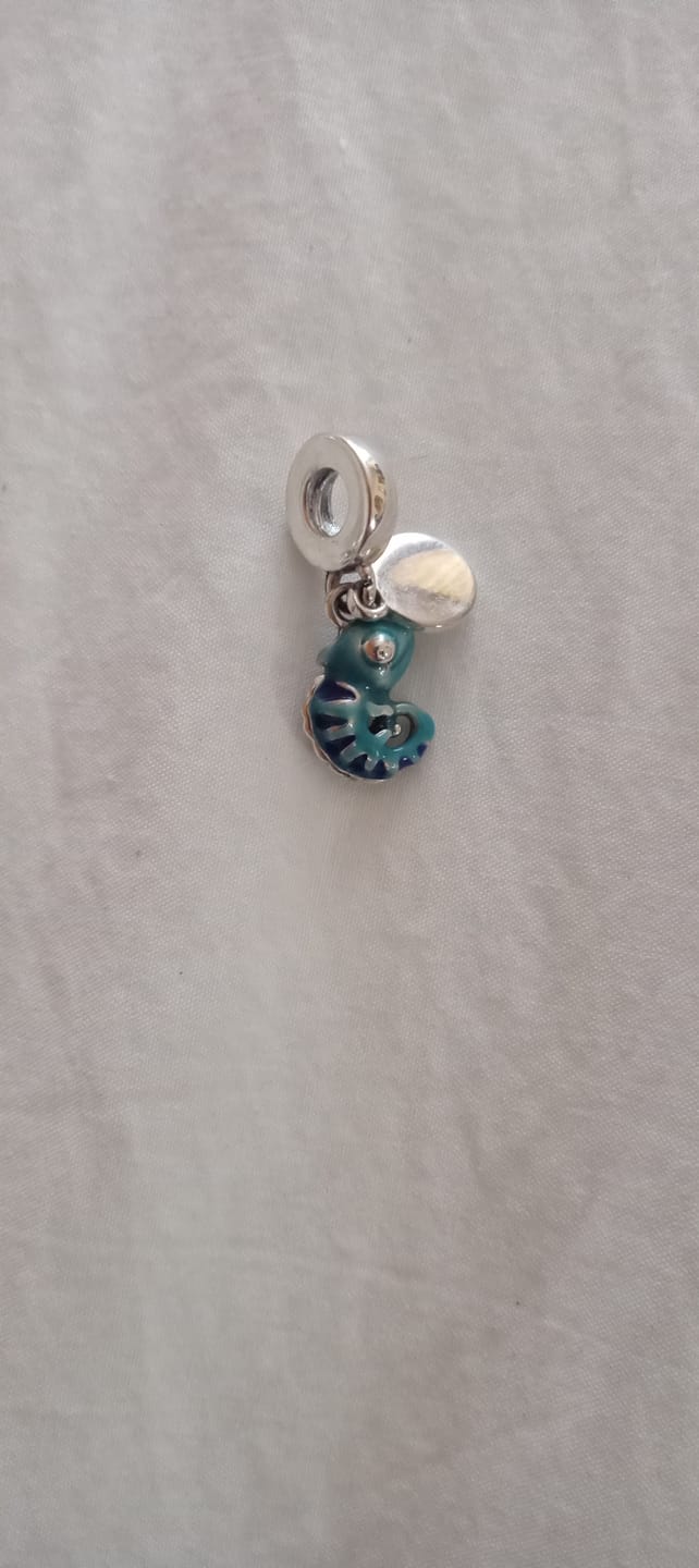 Customer photo review of Charm Tortuga