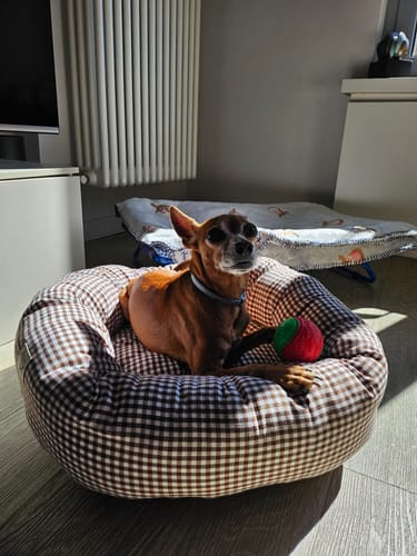 Customer photo review of Cuccia Tonda Vichy Beige