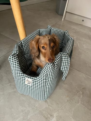 Customer photo review of Trasportino Cotone Vichy