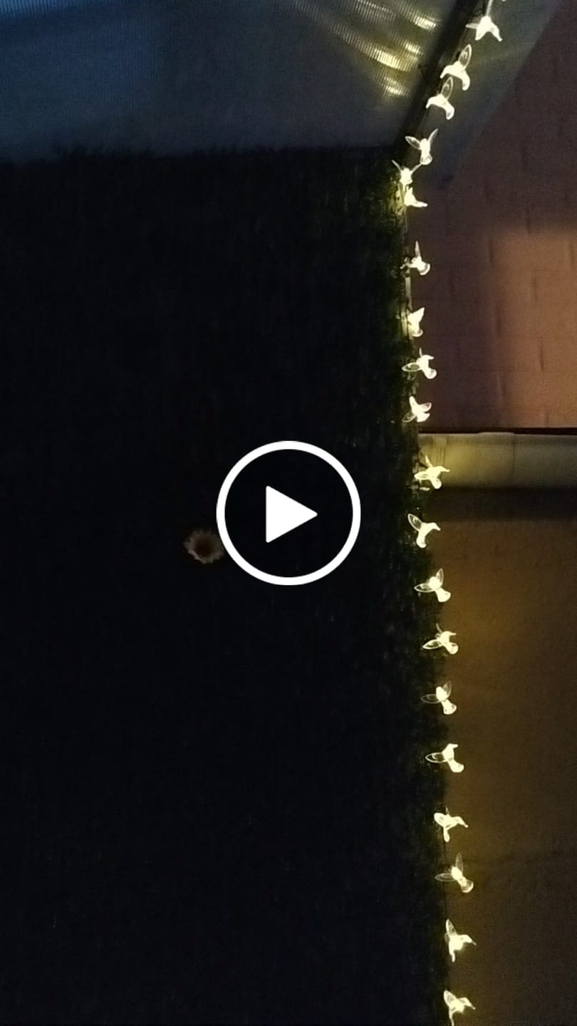Customer video review of Colibrís Solares - IP65 Luz Cálida/Colores Largo 3,7 m