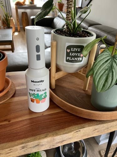 Customer photo of Mossify Stickers from Johanne D.