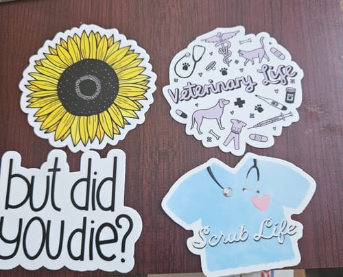 Customer photo review of But Did You Die? Sarcasm Sticker