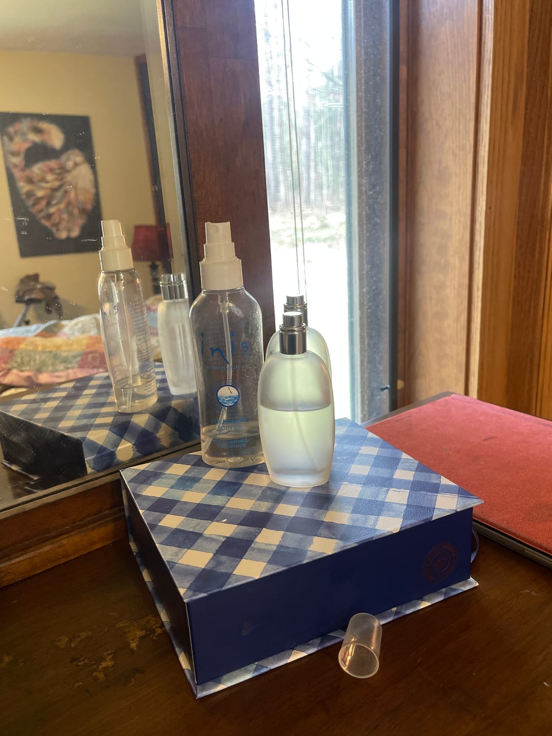 Customer photo review of Inis Cologne Spray 100ml/3.3 fl. oz
