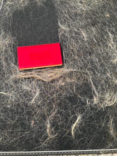 Customer photo review of Indigo Mini Lint and Pet Hair Remover