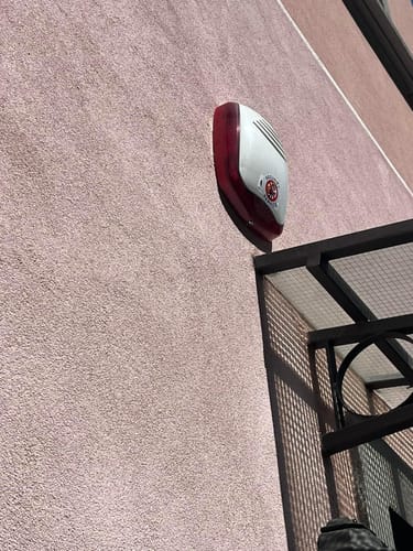 Customer photo review of PROMO - Sticker Vinile Classici