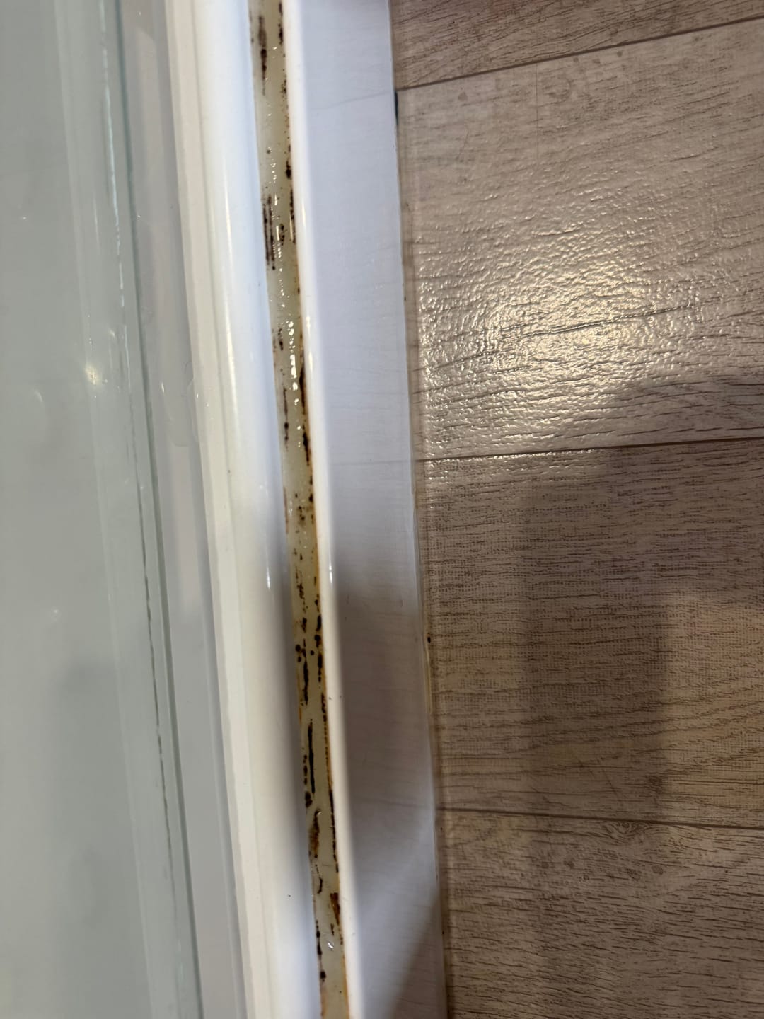 Customer photo review of GLASSGUARD™ Miracle Mould Removal Gel