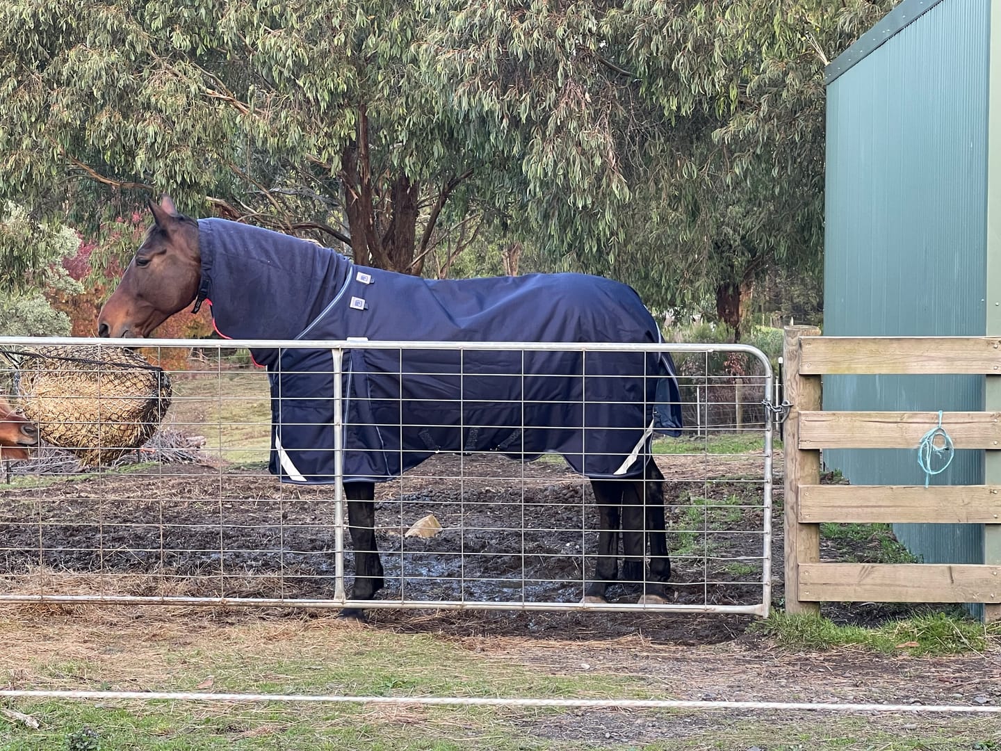 Customer photo review of LE Boxter Turnout Ripstop 200g