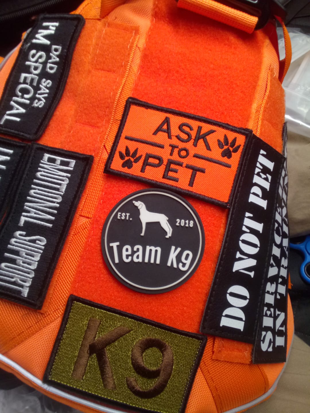 Customer photo review of Hook & Loop Patch Variety Bundle For Harness (Pack of 12)