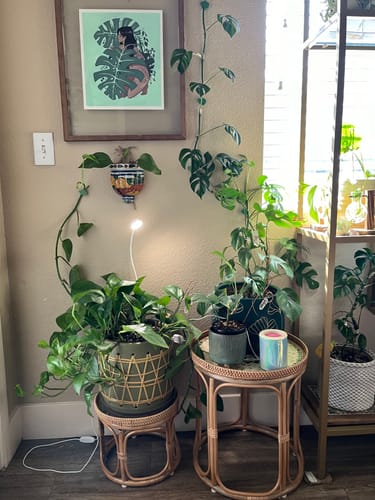 Customer photo review of Oasis Rattan Table Set