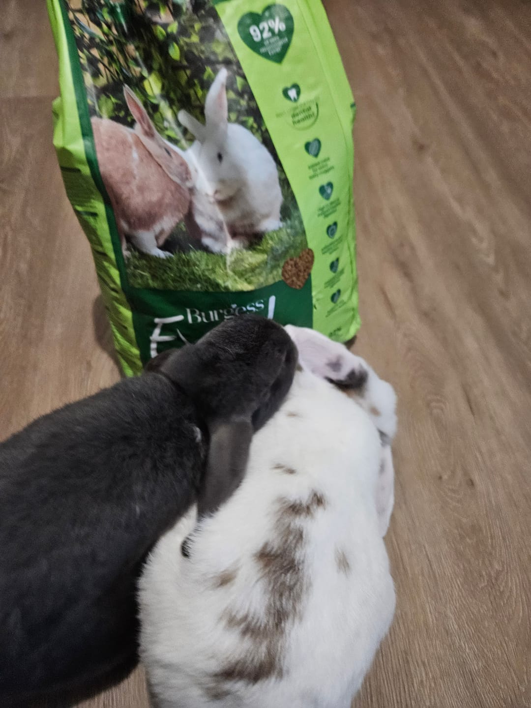Customer photo review of Burgess Excel Adult Rabbit Nuggets With Mint (Mais opções disponiveis)