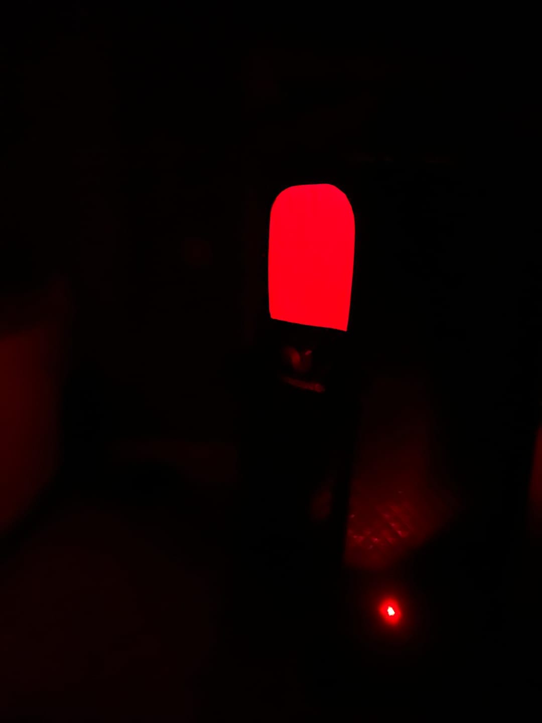 Customer photo review of Thermax Steam Sauna