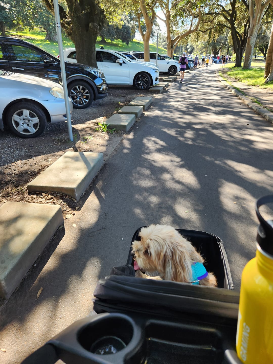 Customer photo review of PaWz Large Dog Stroller - 3 Wheels