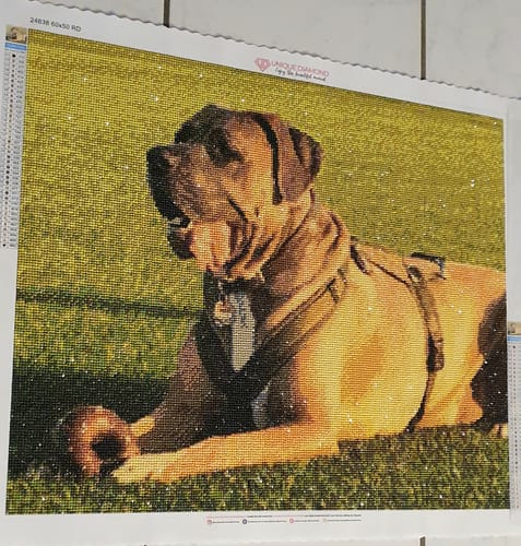 Customer photo review of Diamond Painting Eigenes Foto