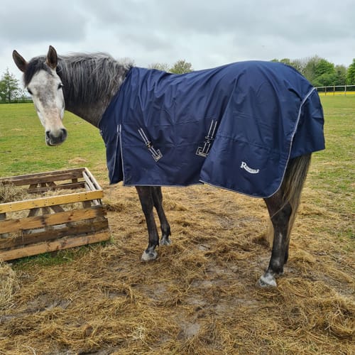 Customer photo review of Rhinegold Torrent Outdoor Rug