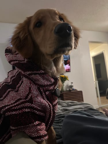 Customer photo review of Playa Poncho - Surprise Color