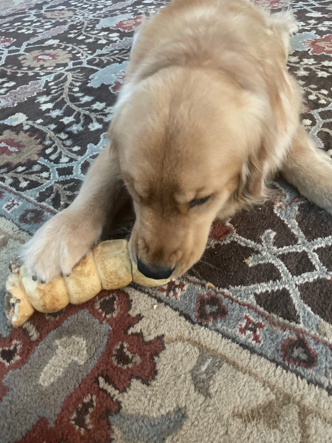 Customer photo review of 10-12 Inch Peanut Butter Cheek Roll