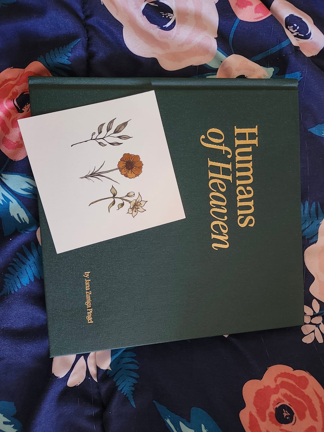 Customer photo review of Humans of Heaven