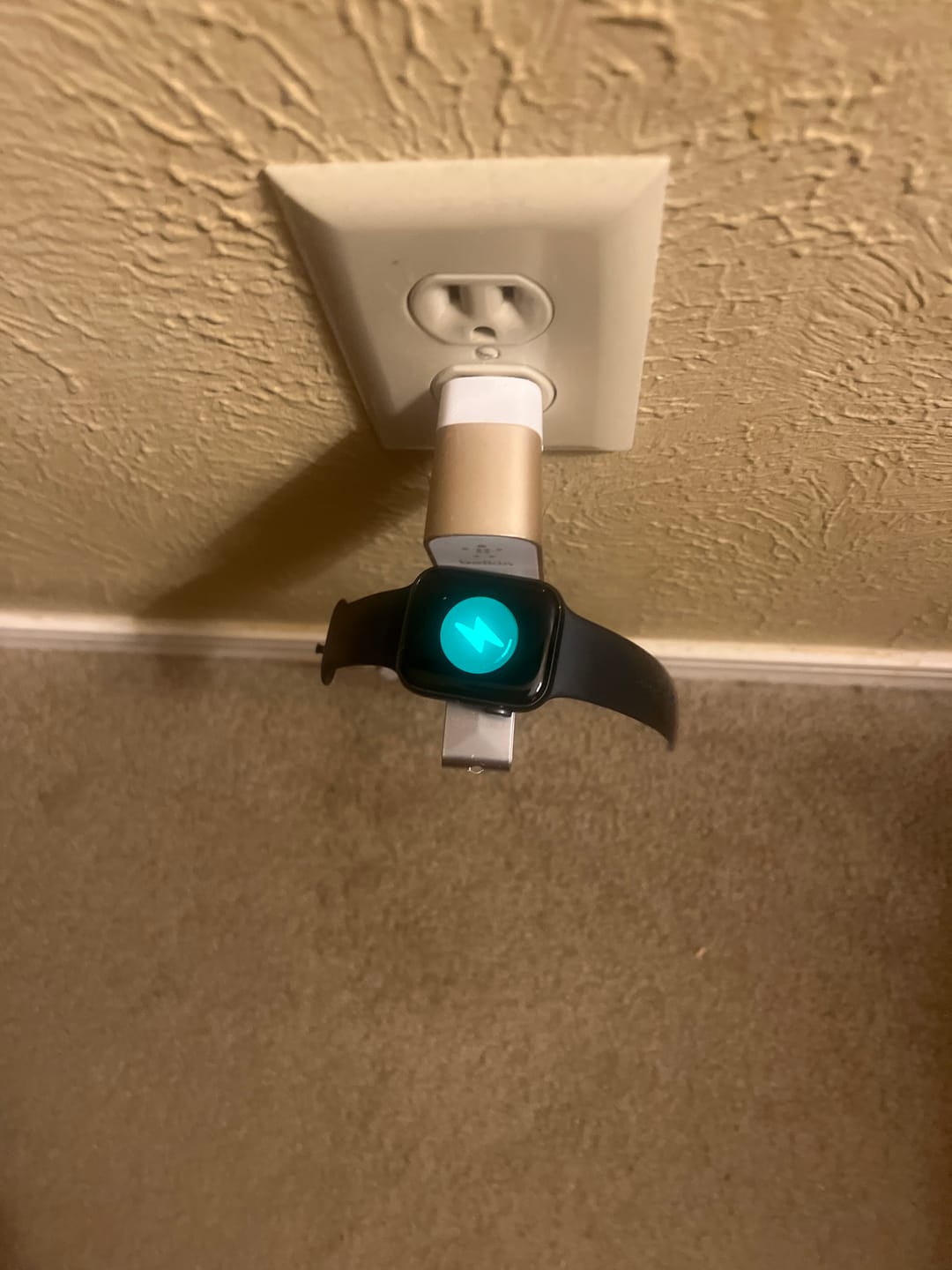 Customer photo review of 2-in-1 Portable Charger