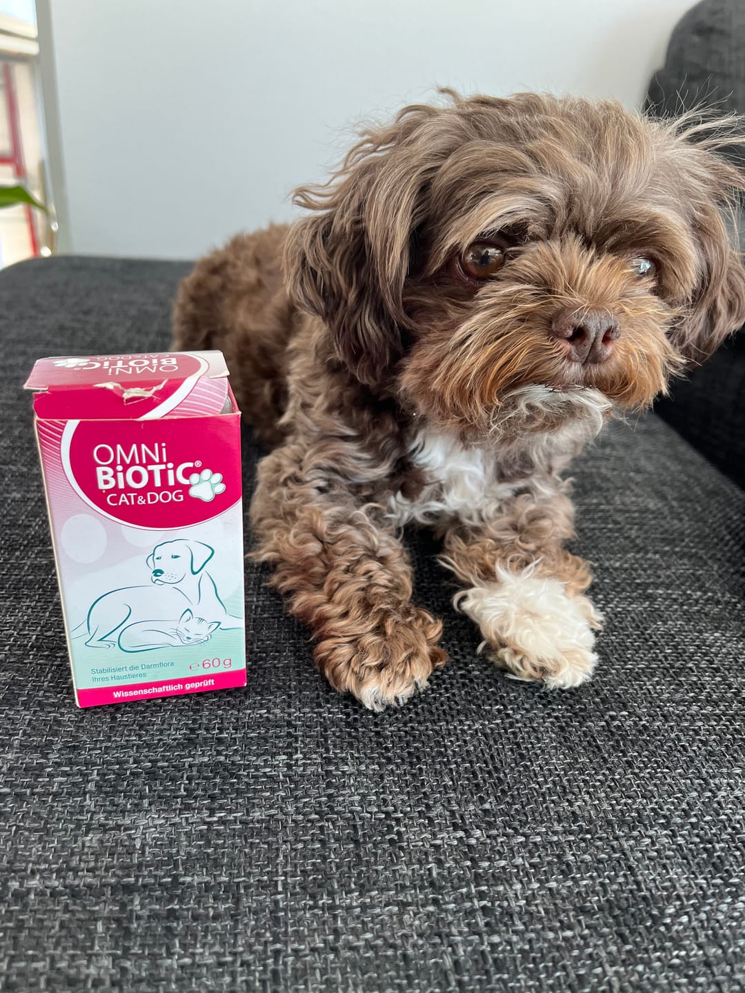 Customer photo review of OMNi-BiOTiC® CAT & DOG