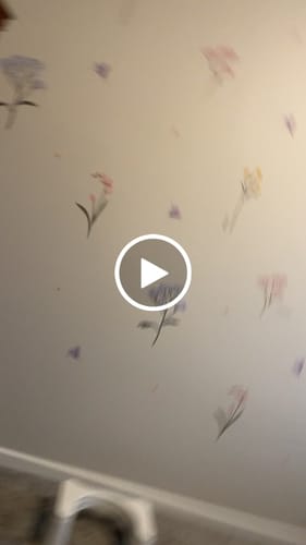Customer video review of Spring Flowers