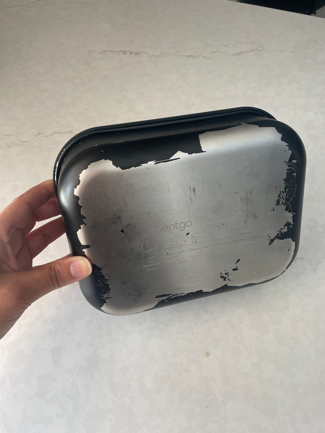 Customer photo review of Bentgo Stainless Steel Leak-Proof Lunch Box