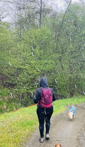 Customer photo review of Tofana Classic