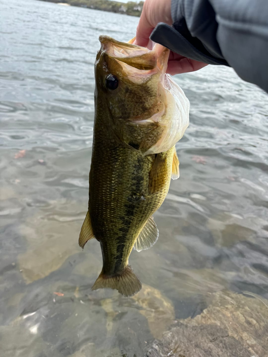 Customer photo review of 200% Sensitive Tungsten Flipping Jig | 7 Colors