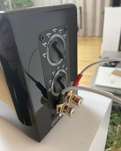 Customer photo review of Aperion PST Planar-Magnetic Ribbon Super Tweeter Speaker Pair MKII