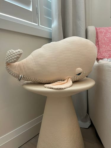 Customer photo review of The Beluga