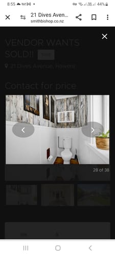 Customer photo review of Masoala Wallpaper - 4 colours