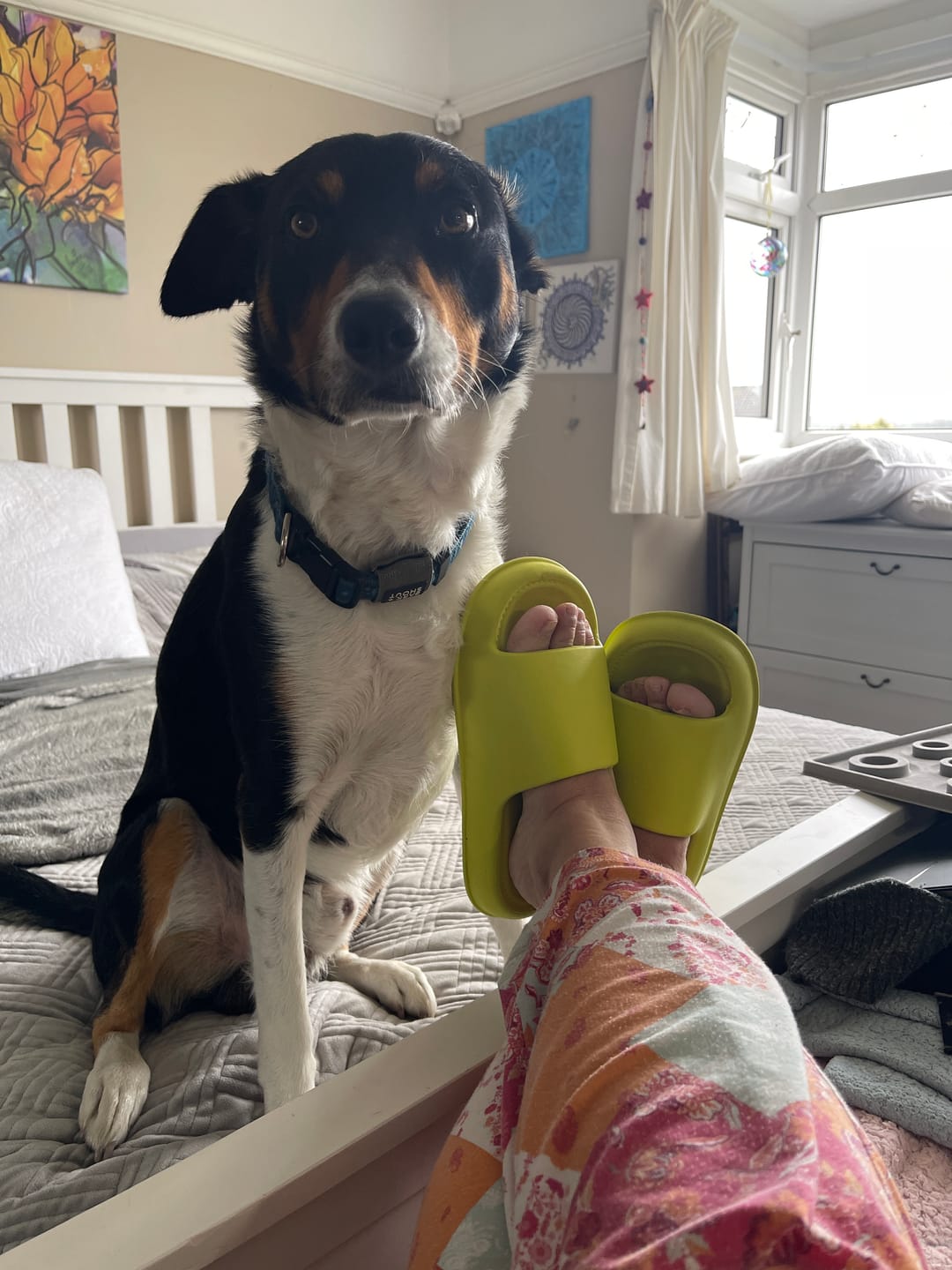 Customer photo review of Cloud Slides - Plush Dream