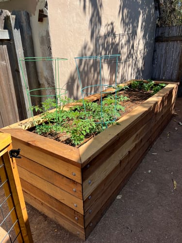Customer photo review of BioVast Living Soil
