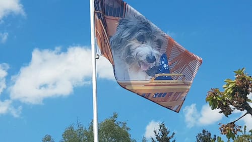 Customer photo review of Fahne inkl. Druck