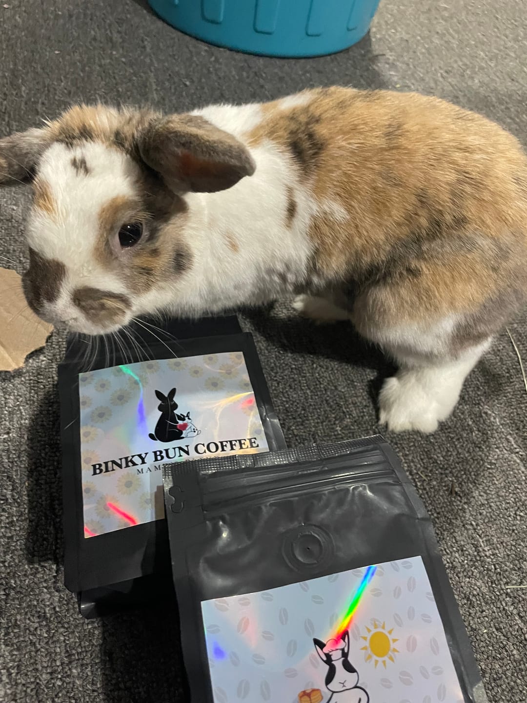 Customer photo review of Breakfast Blend (Bean)