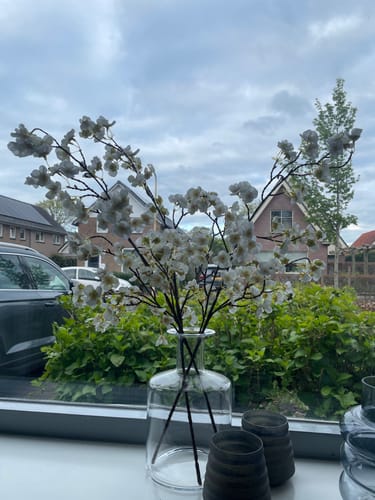 Customer photo review of Zijden Bloesem - Wit (3stengels)