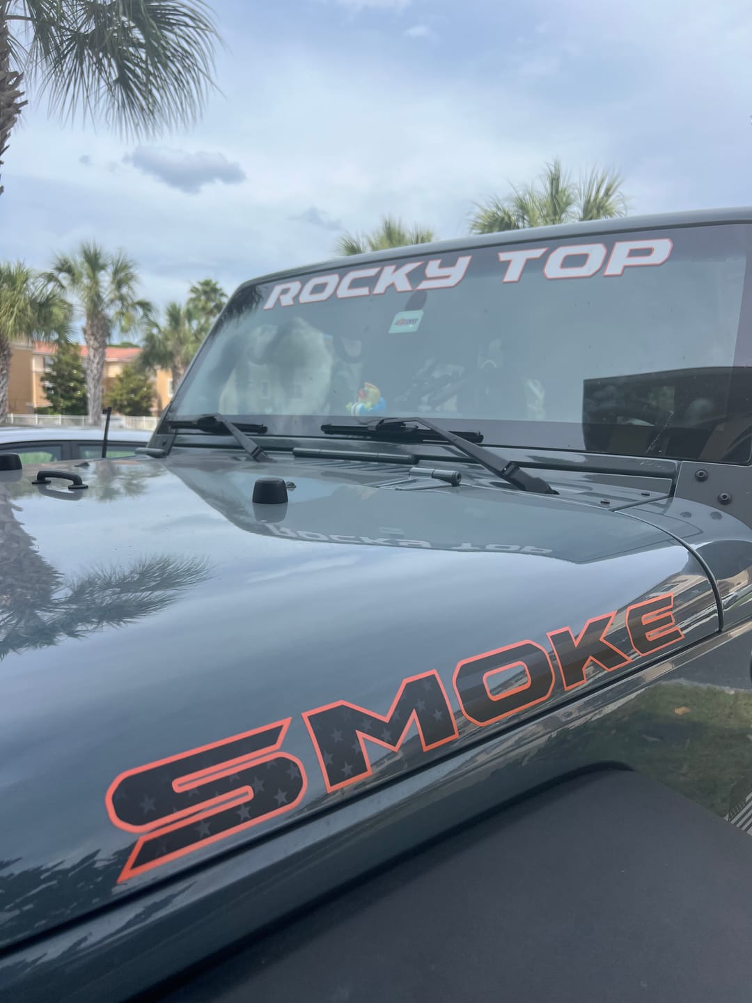 Customer photo review of Premium Black Flag Hood Lettering | Set of 2